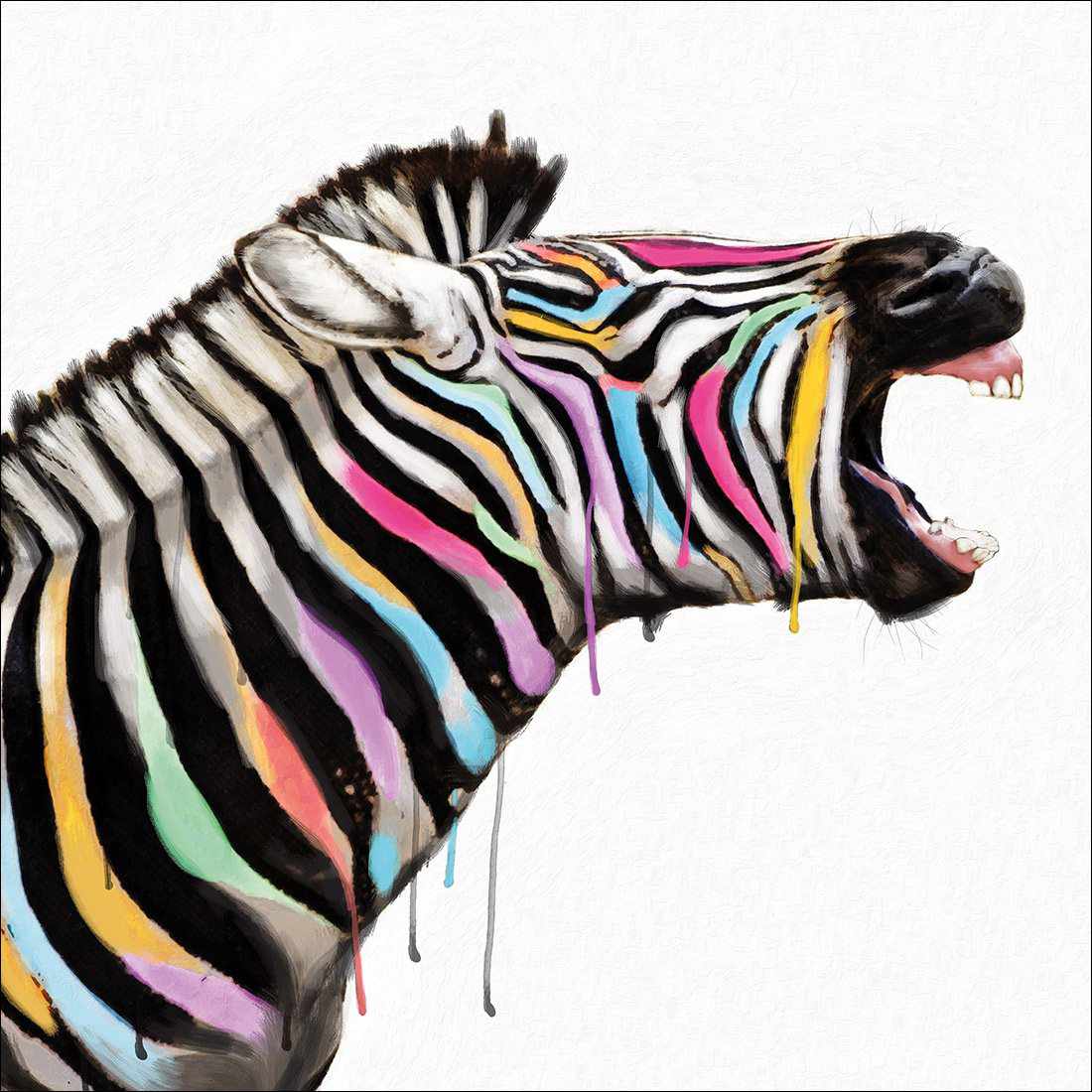 Laughing Stock, Square Canvas Art