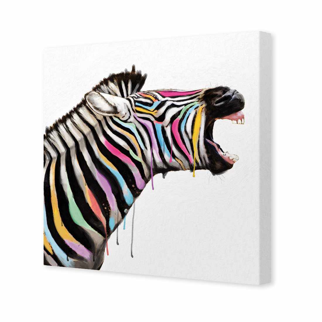 Laughing Stock, Square Canvas Art