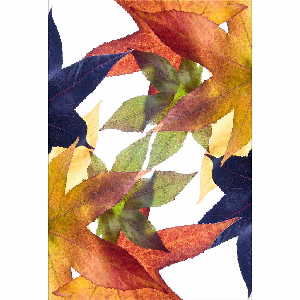 Leaf Kaleidoscope, Rectangle Canvas Art