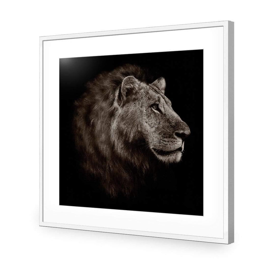 Lion Portrait