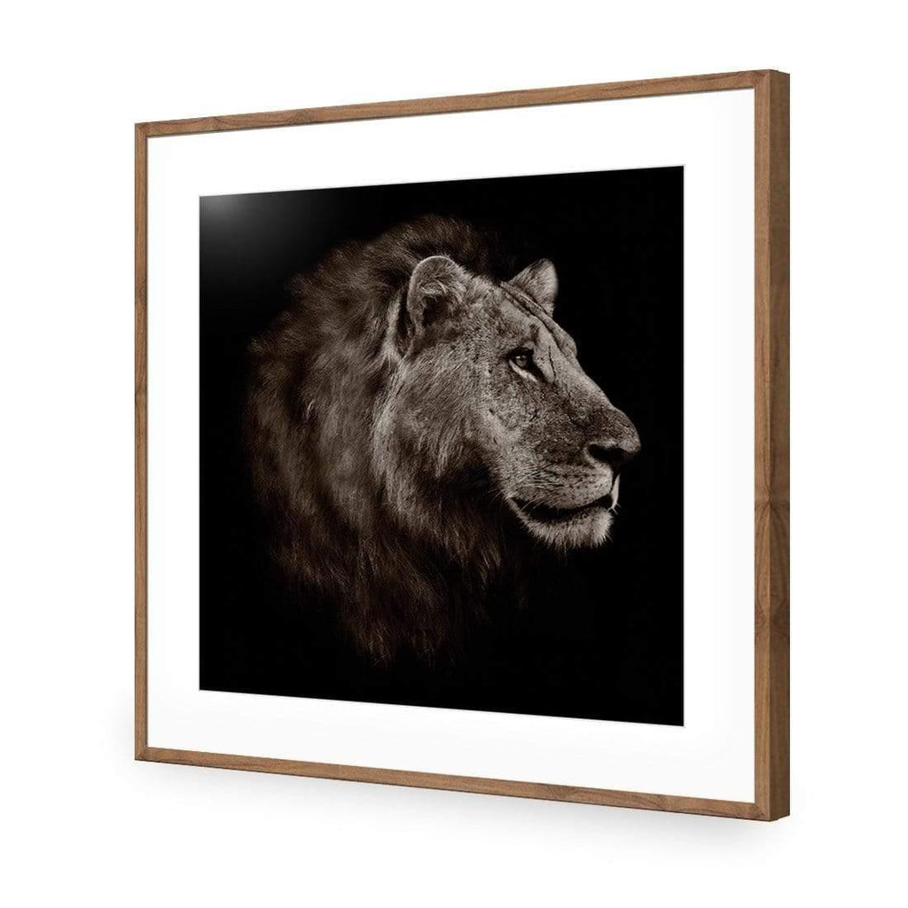 Lion Portrait