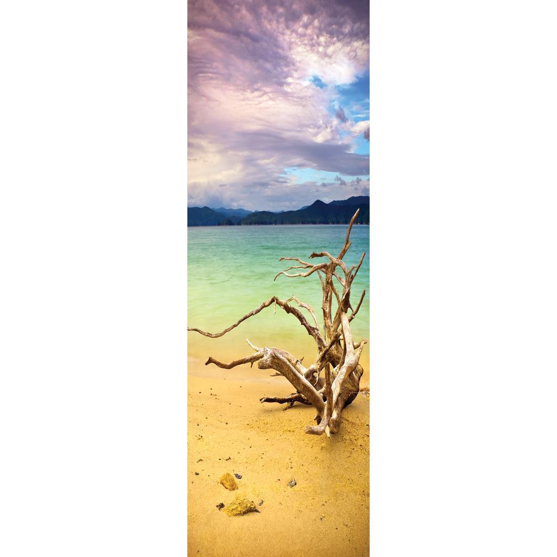 Lonely Driftwood (long)