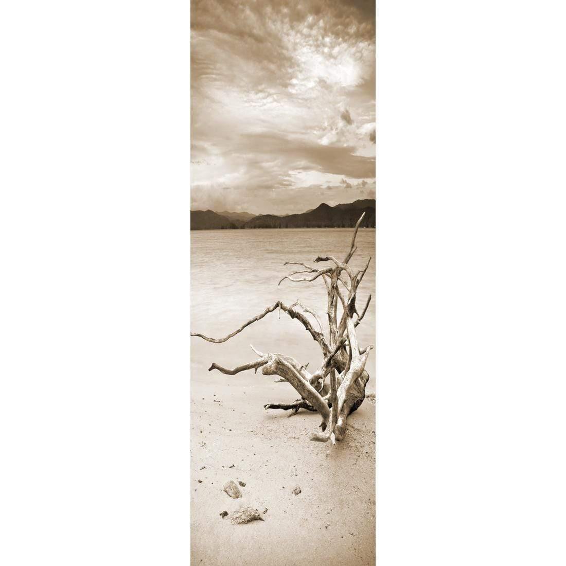 Lonely Driftwood, Sepia (long)