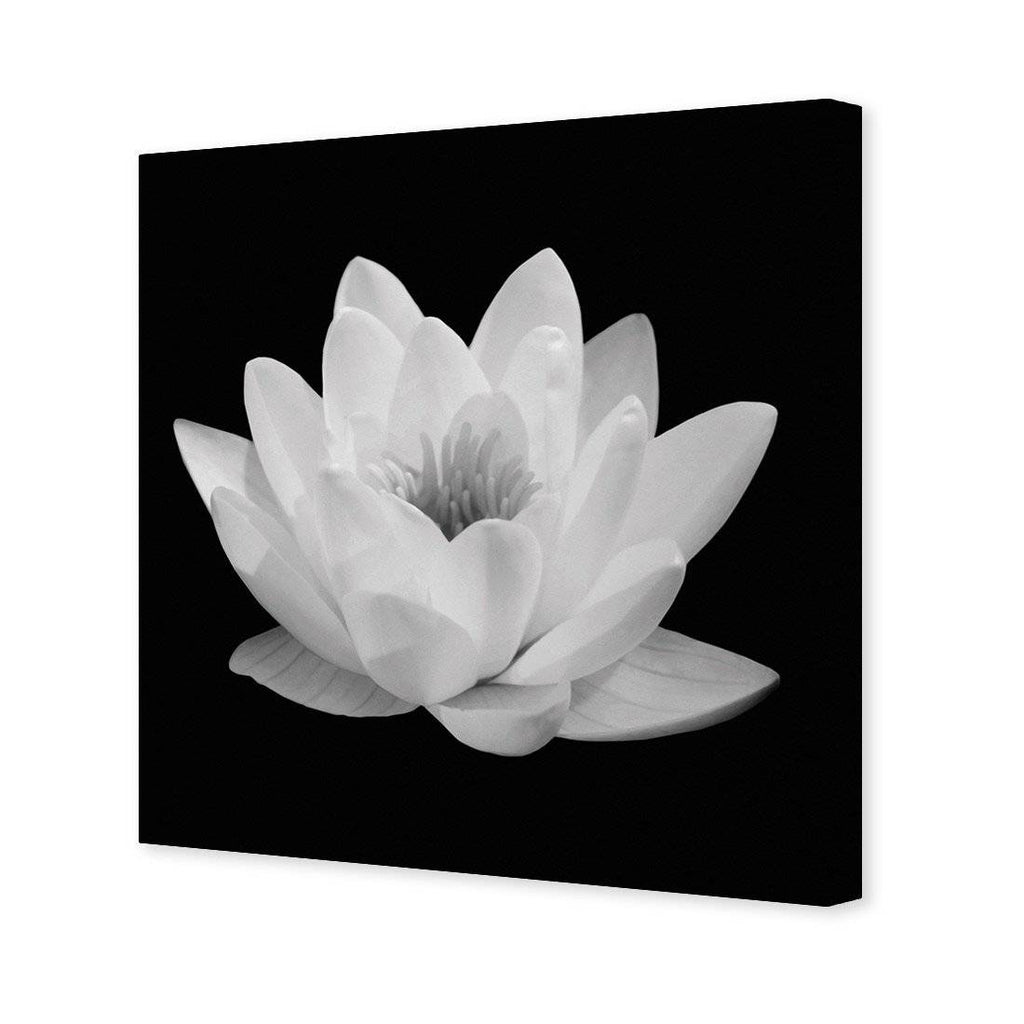 Lotus In Bloom, White Canvas Art