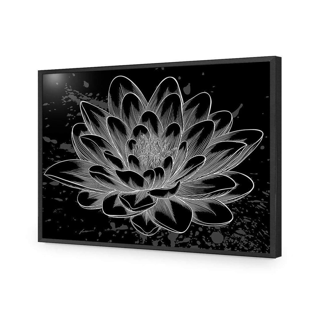 Lotus Sketched