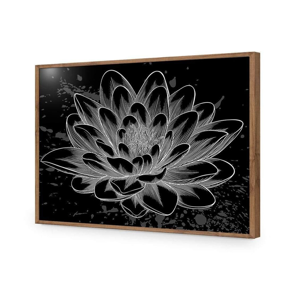 Lotus Sketched