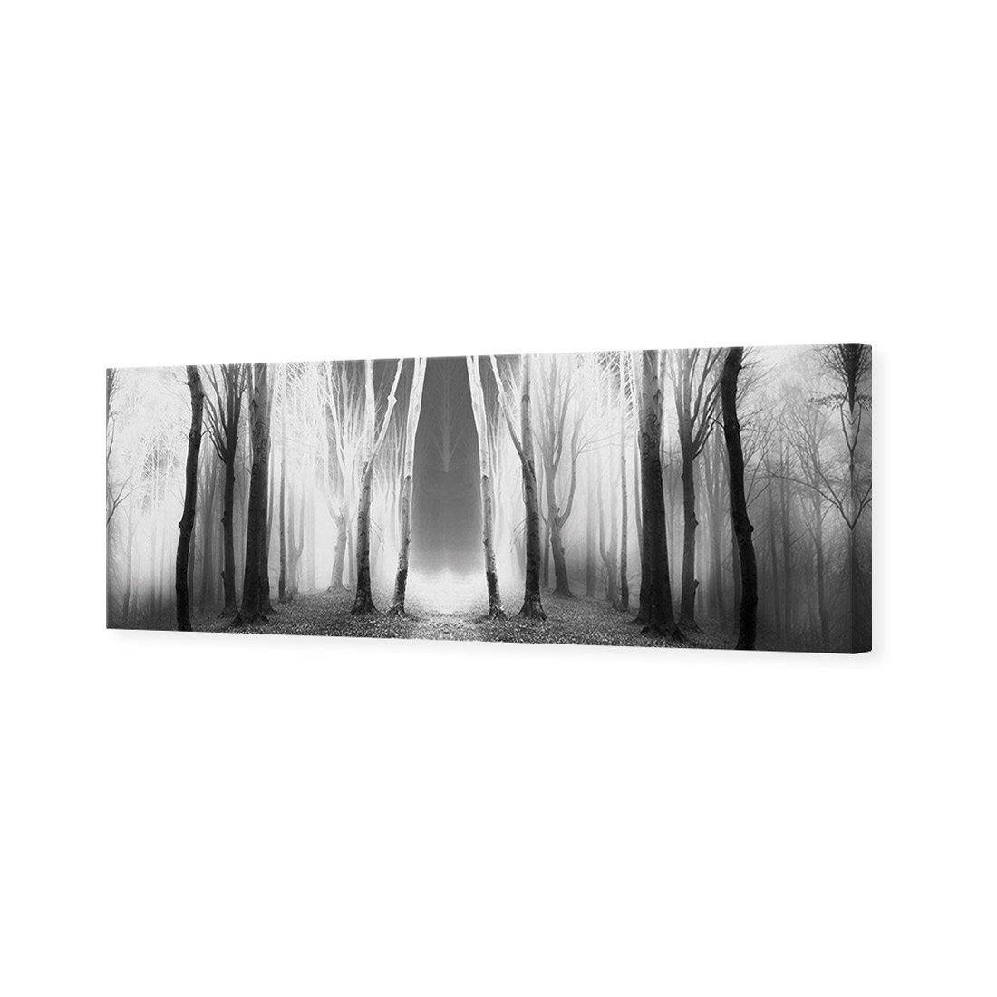 Luminous Forest, B&W Canvas Art