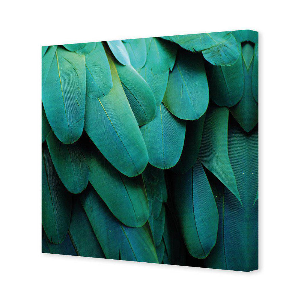 Macaw Feathers Canvas Art