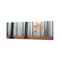Misty Autumn Forest (Long)