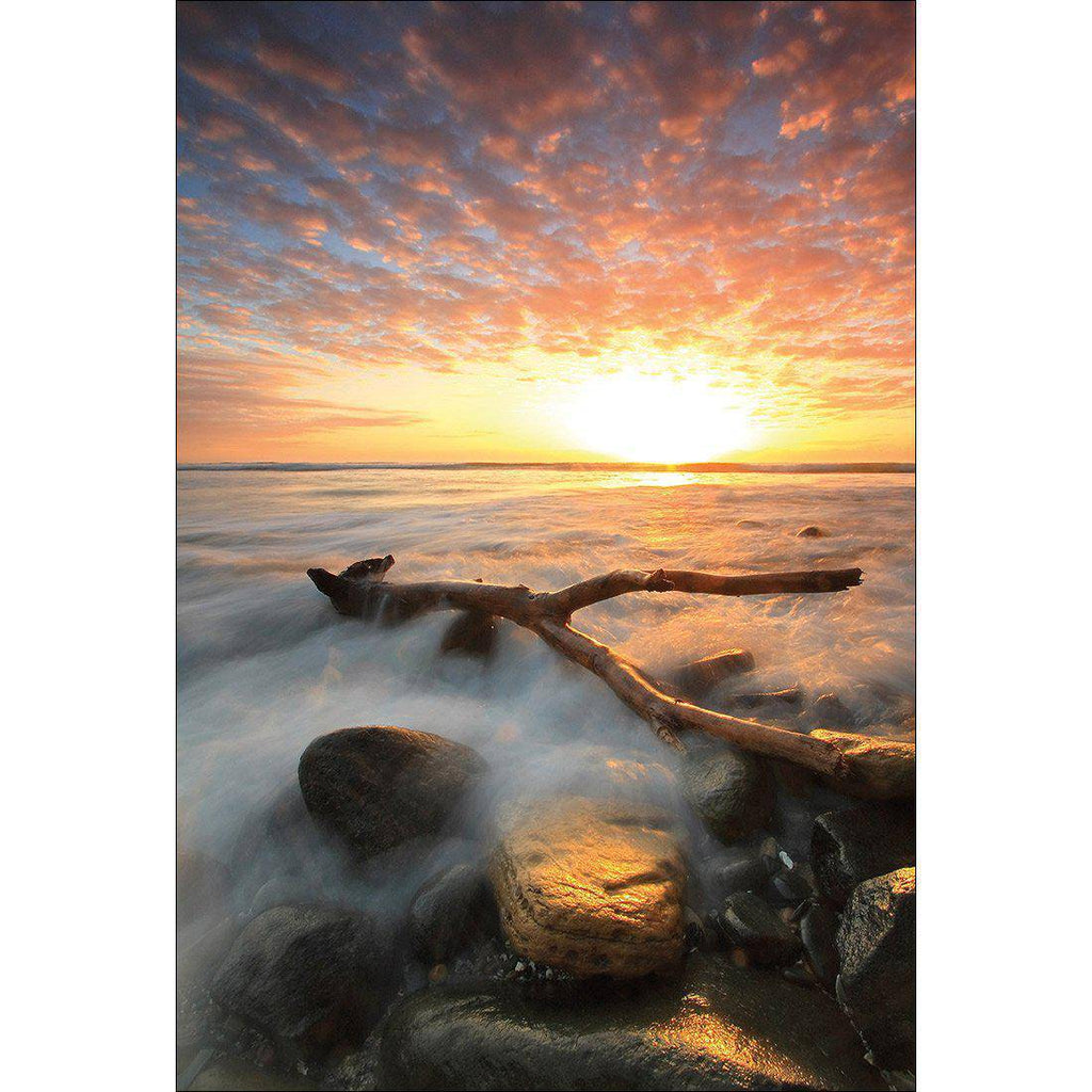 Morning Y Canvas Art