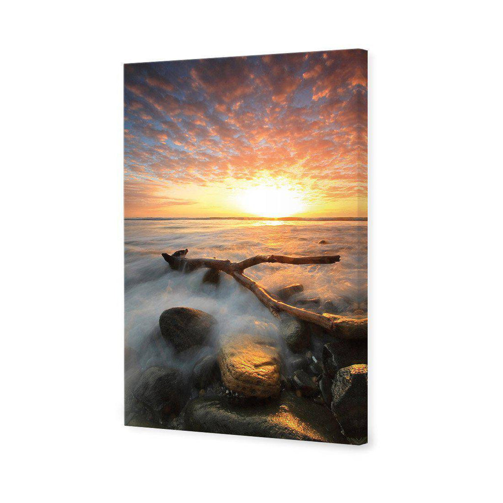 Morning Y Canvas Art