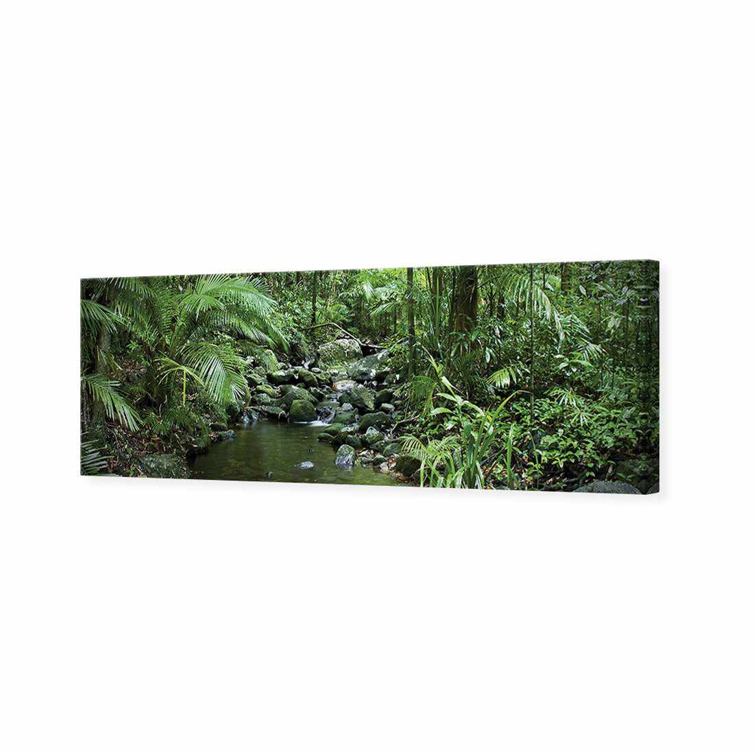 Mossman River In Daintree Rainforest, Long Canvas Art