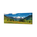 Mountain Meadow (long)