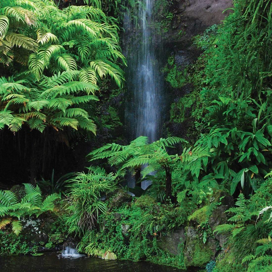 Nature's Garden (square)