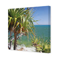 Pandanus Palms (square)