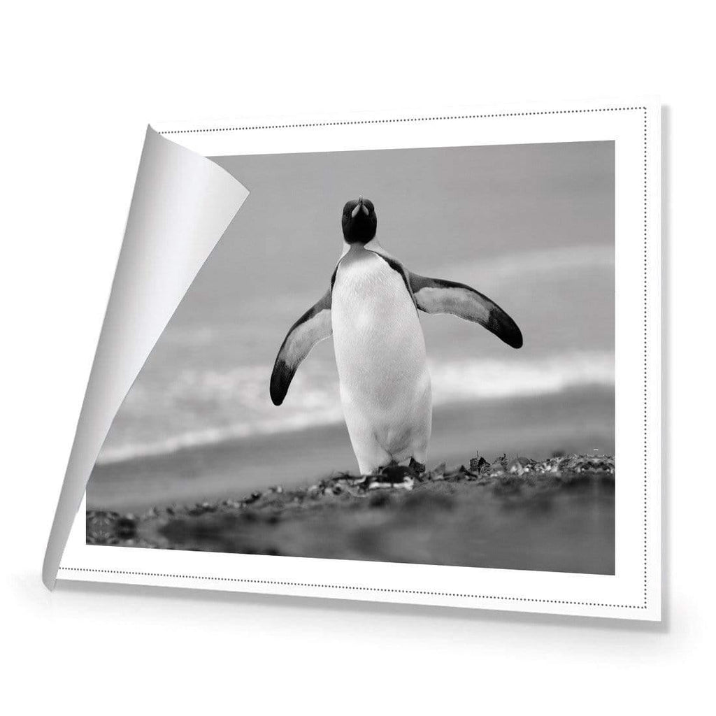 Phil the Penguin
