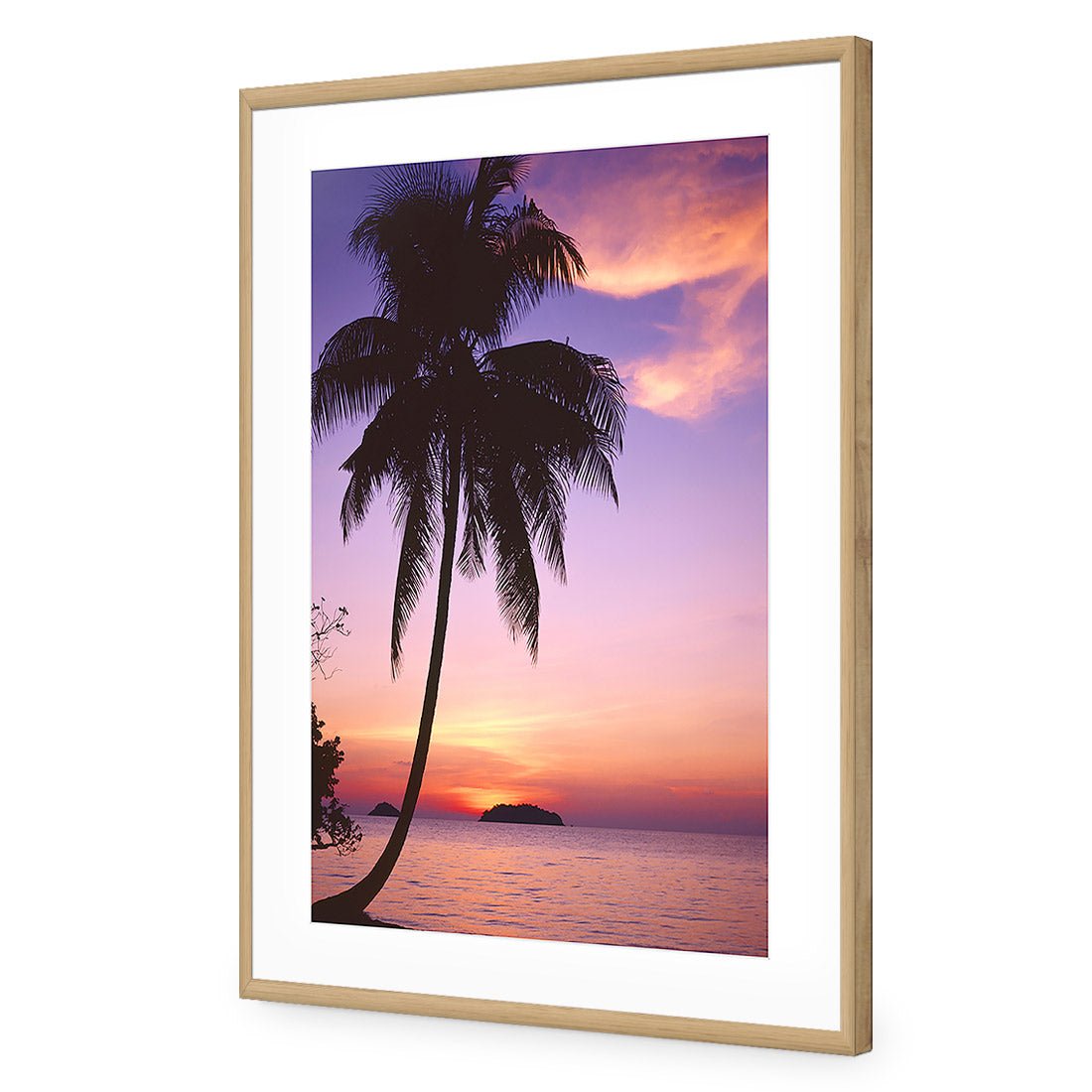 Phuket Palm