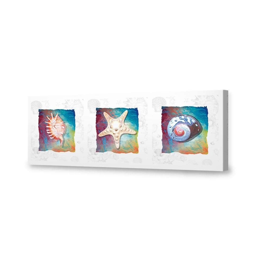 Shell Montage