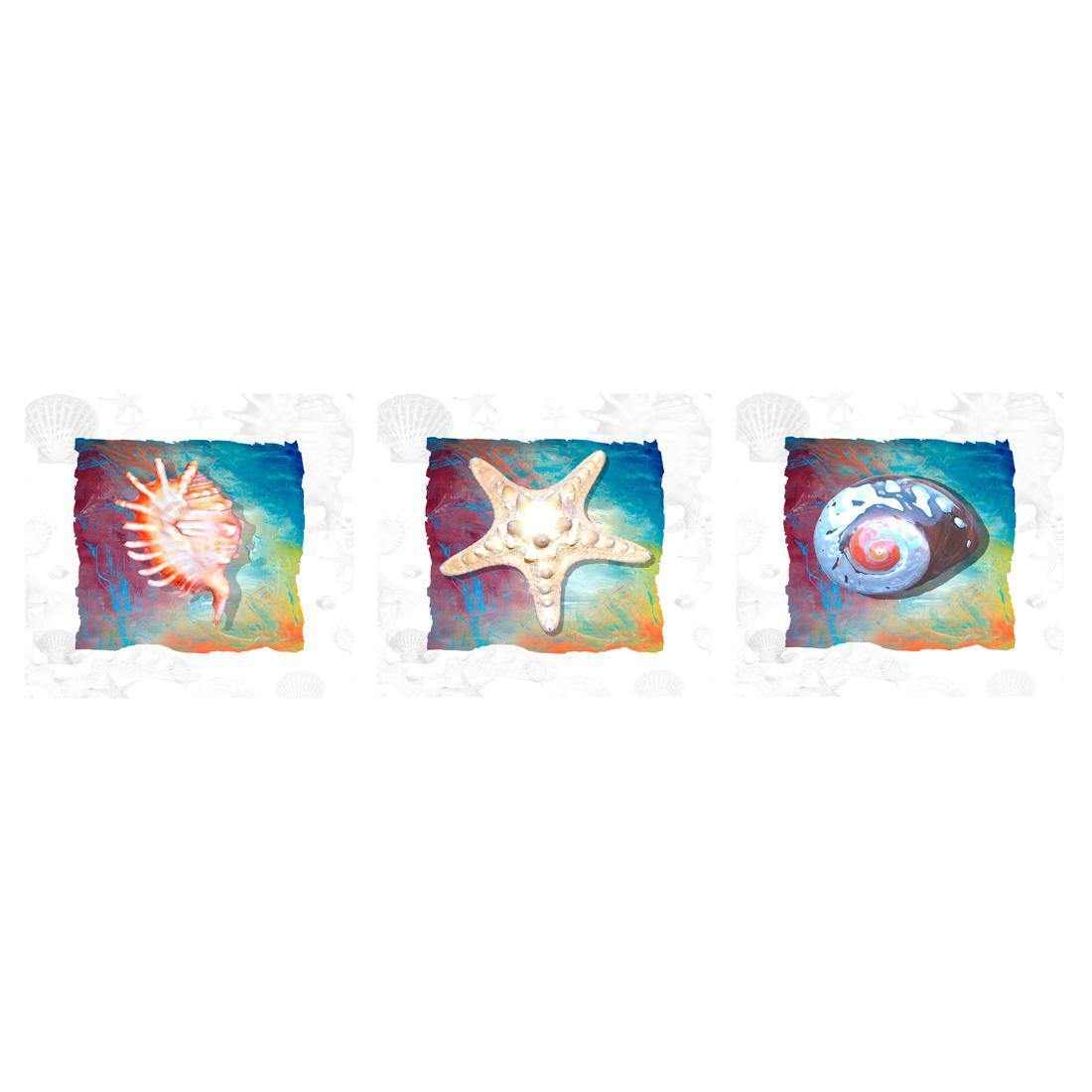 Shell Montage