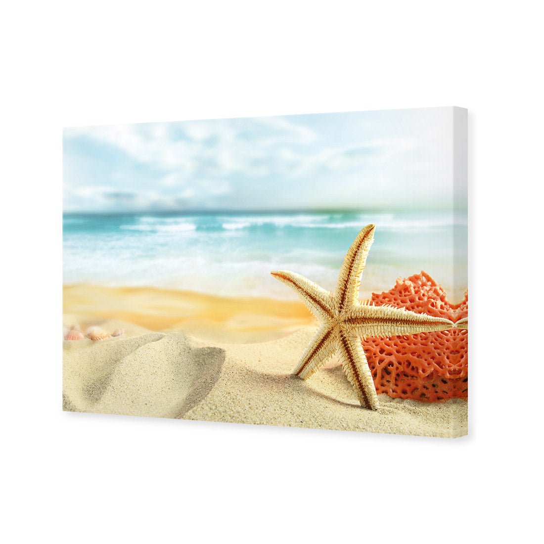 Starfish and Coral on Beach