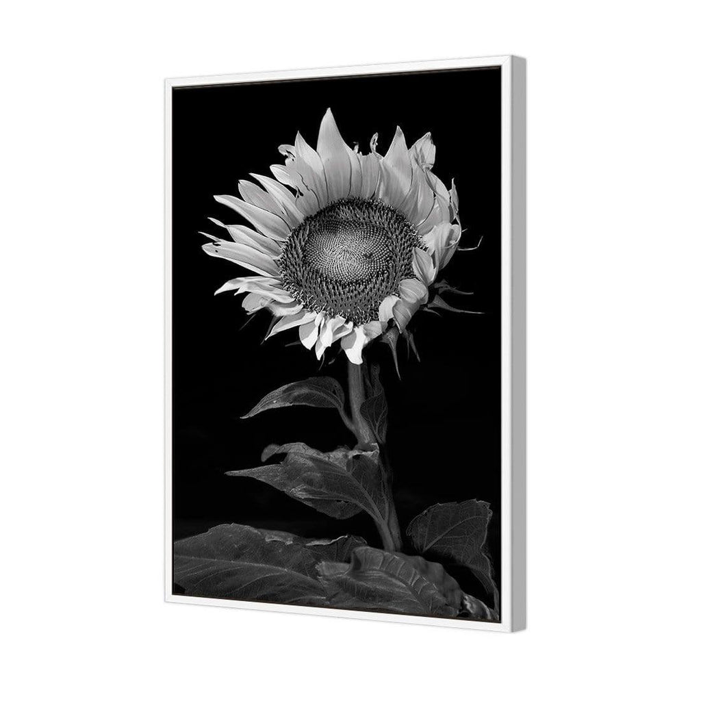 Stunning Sunflower