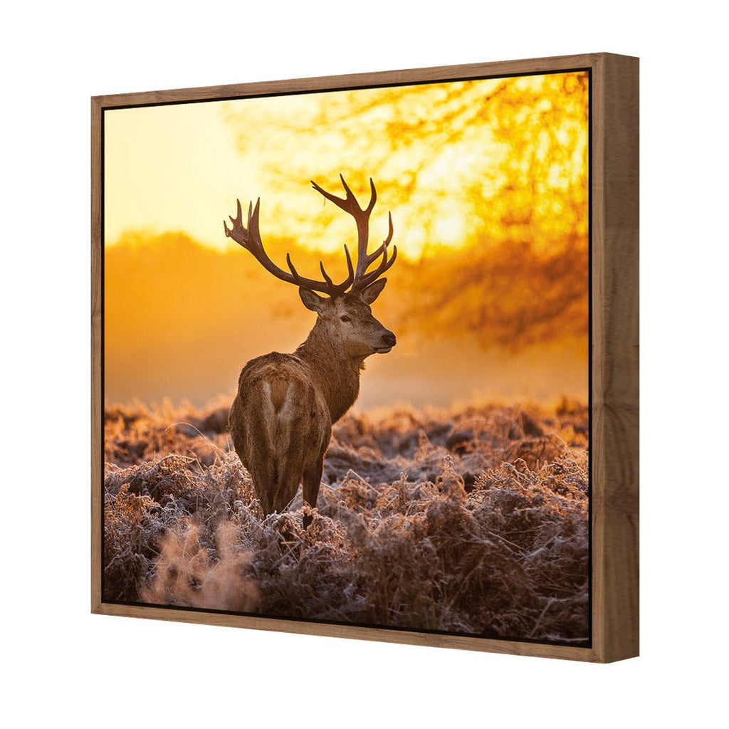 Sunset Deer Returns (square)