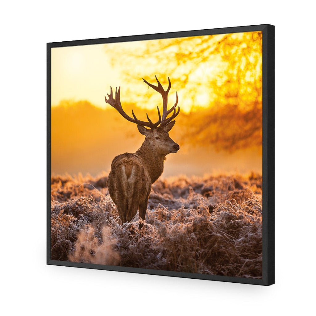 Sunset Deer Returns (square)