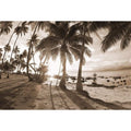 Sunset Palms, Sepia