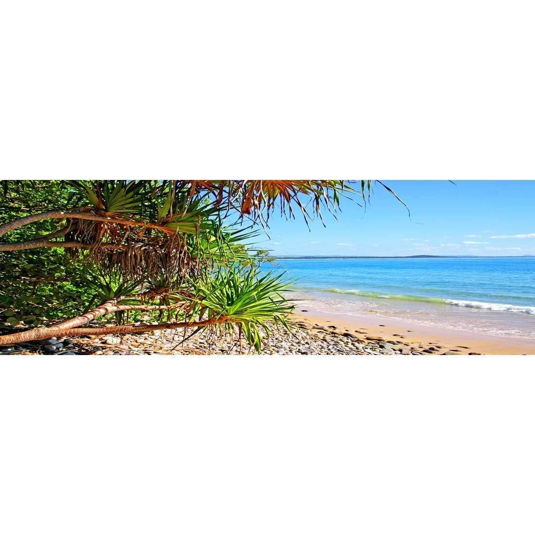 Sunshine Coast Palms (Long)