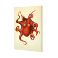 Vintage Octopus