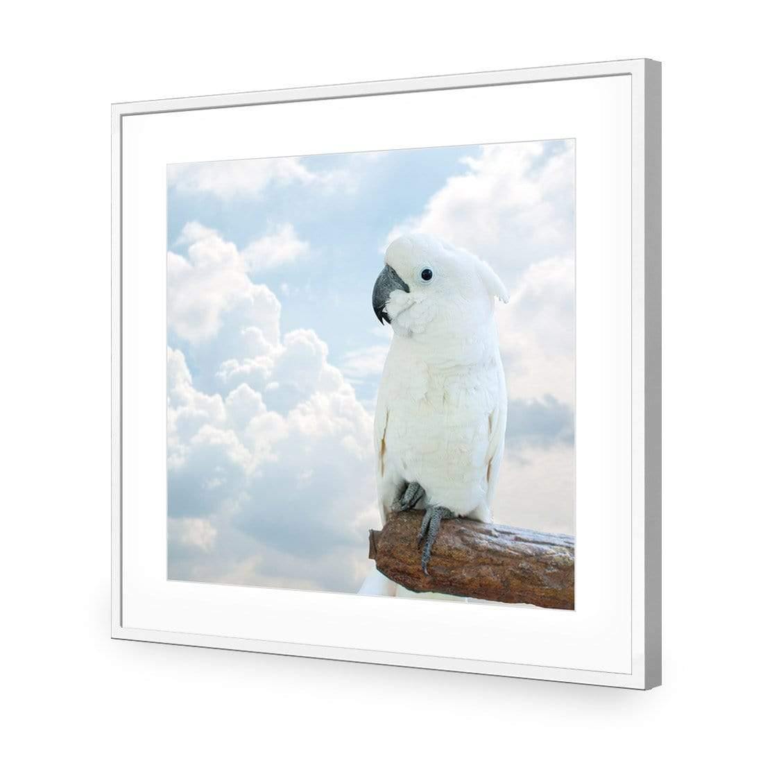 Winston the White Cockatoo