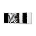 Zebra Eye Arty, black and white