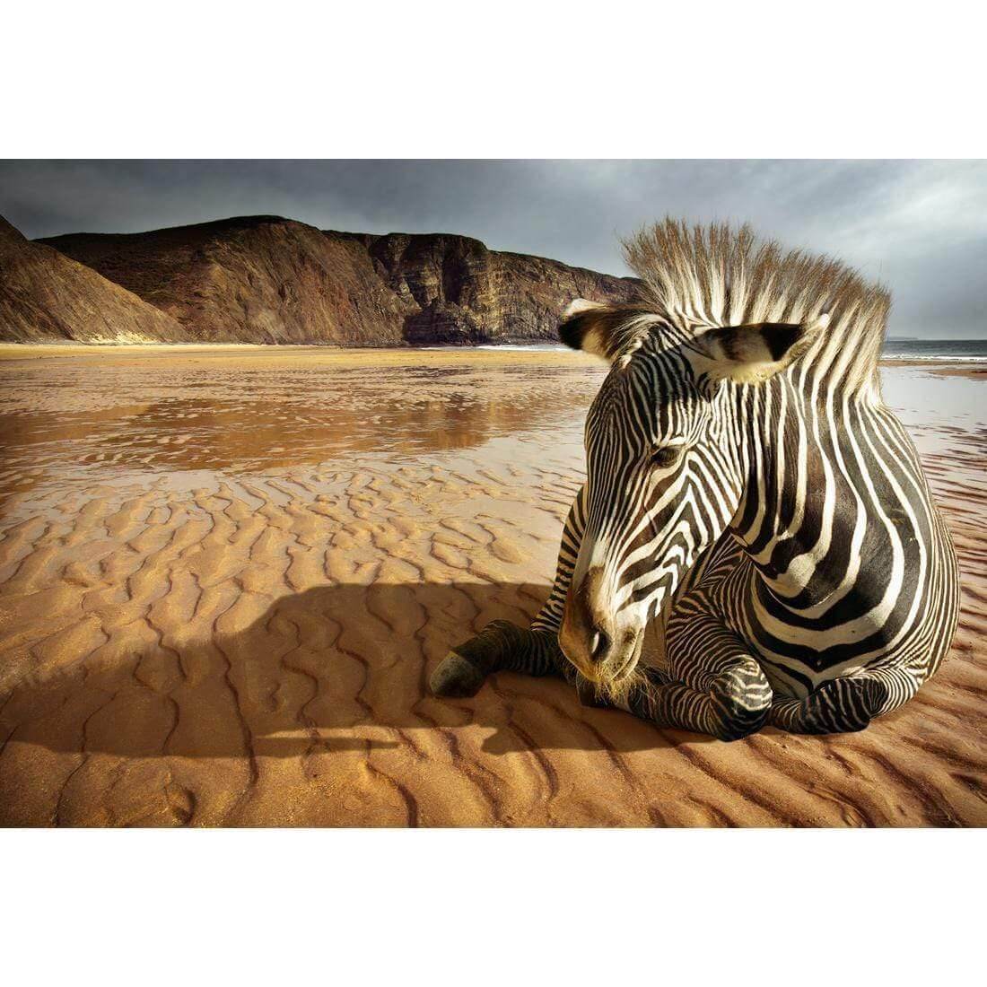 Zebra on Beach